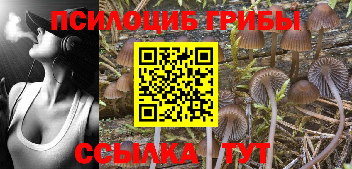 Кемерово  дарнет шоп  Вход с VPN  Галлюциногенные грибы Magic Shrooms 