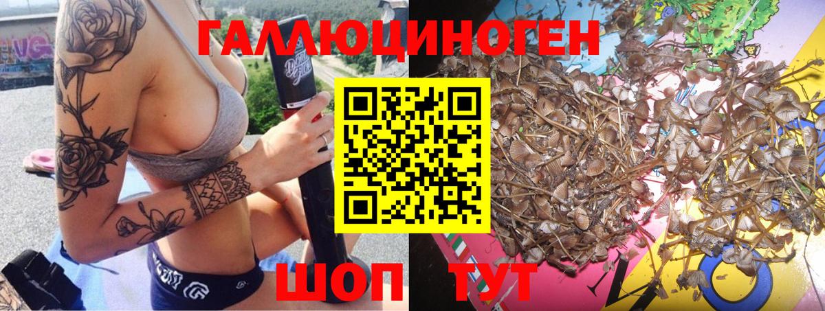 Псилоцибиновые грибы ЛСД Кемерово
